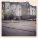 A deer runs through the parking lot of Peninsular Place Apts near the EMU campus. (samanthahojo)